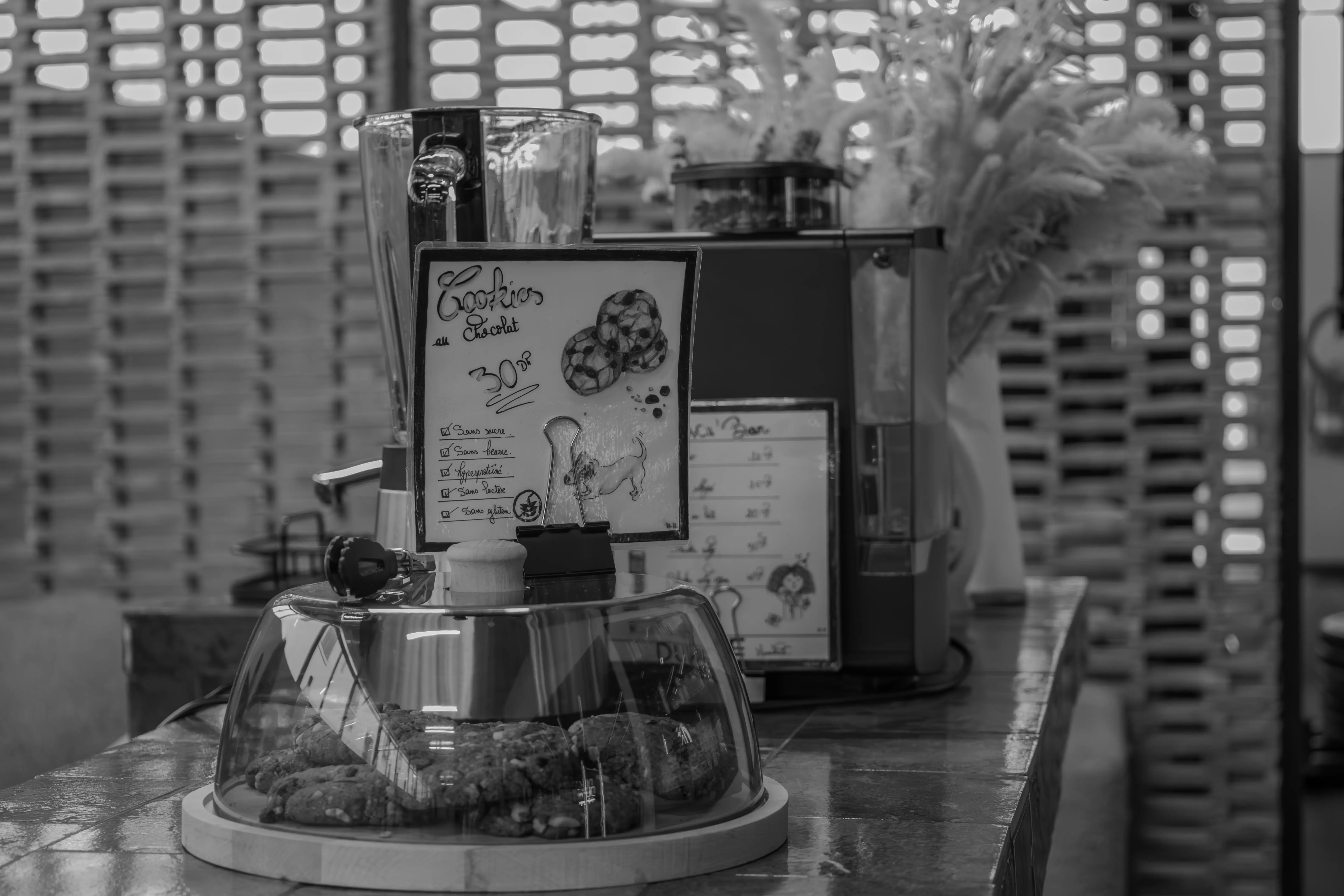 L'équipe Dune Training à Marrakech